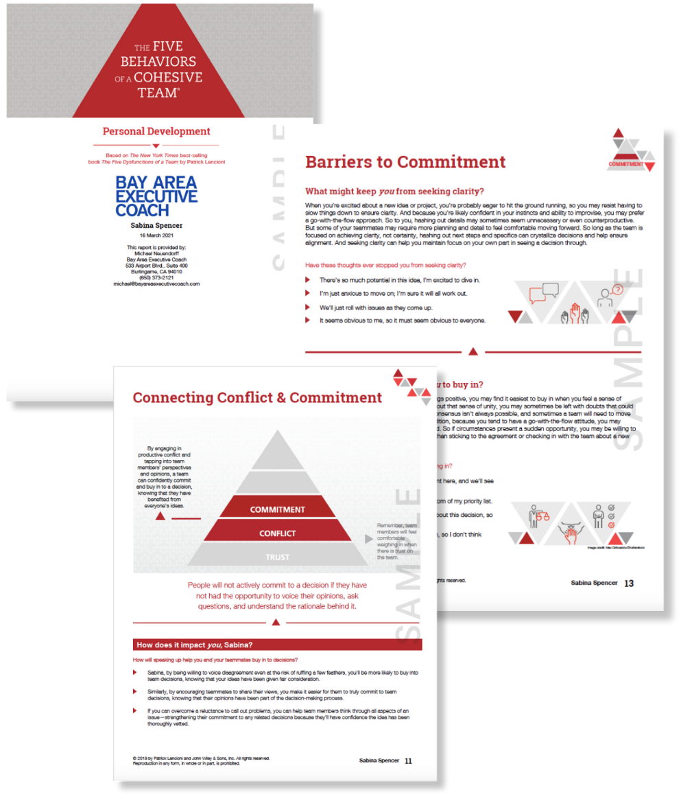 Thumbnail of the Five behaviors Team Personal Development sample report. 