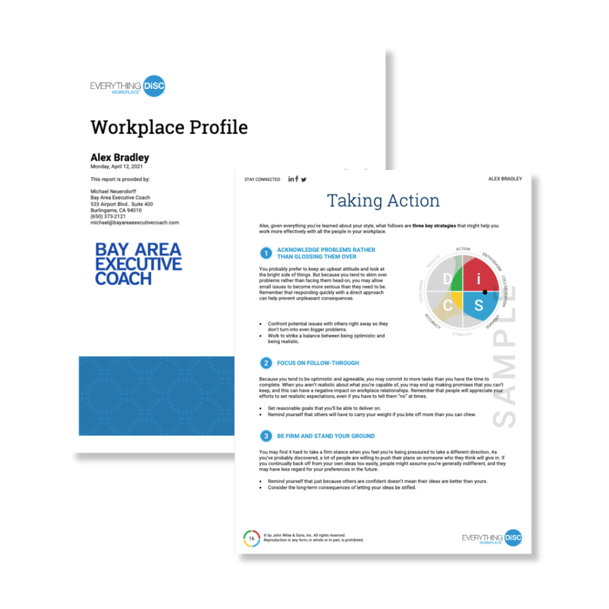 Thumbnail of the DiSC Workplace Profile Sample Report. 