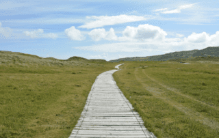 A pathway to a bright green valley.