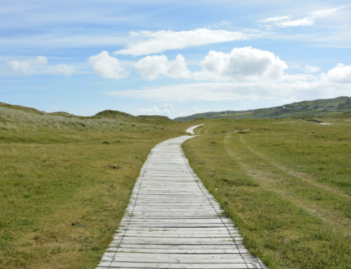 Building a Best Place to Work: Create A Clear Path For Career Development